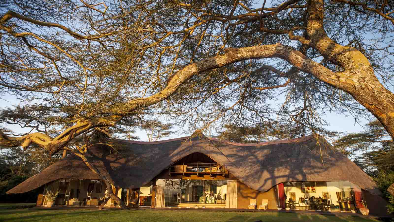 Solio Lodge accomodation redna tours and safaris